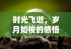 终结者2修复版