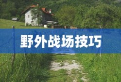 手游华夏暗巫角色实力解析，强者的荣耀之路