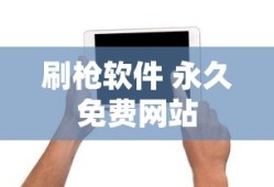 刷枪软件 永久免费网站