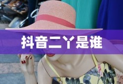 抖音二丫是谁