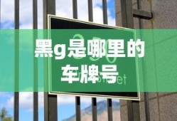 黑g是哪里的车牌号