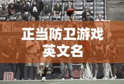 正当防卫游戏英文名
