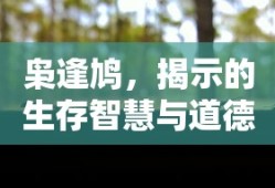 枭逢鸠，生存智慧与道德启示的深度解读