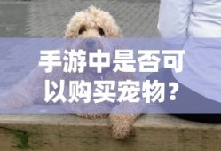4K电视，是否值得投资的考量？