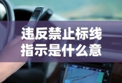 违反禁止标线指示是什么意思罚多少钱