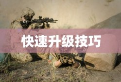 龙跃武器升级攻略，快速升级技巧分享，龙跃武器升级攻略，快速升级技巧揭秘