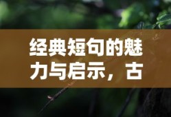 爱奇艺取消自动续费的方法与步骤