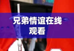 兄弟情谊在线观看