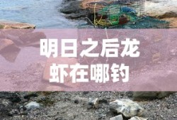 手游热血三国名将查询官网