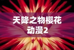 天降之物樱花动漫2