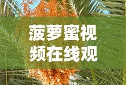 菠萝蜜视频在线观看大全高清下载