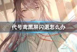 代号鸢黑屏闪退怎么办