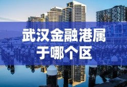 武汉金融港属于哪个区