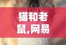 猫和老鼠,网易游戏