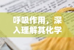 新白娘子传奇1到50集免费下载