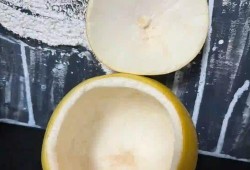 方舟生存进化泰坦龙怎么训养?