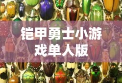 铠甲勇士小游戏单人版