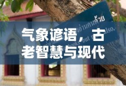 气象谚语，古老智慧与现代气象的交汇点