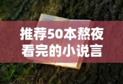 推荐50本熬夜看完的小说言情