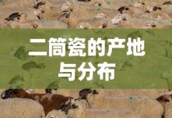 二筒瓷的产地与分布