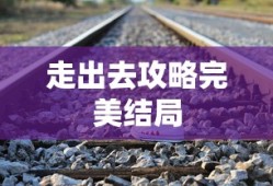 走出去攻略完美结局