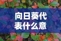 鲁是我国哪个省份的简称?