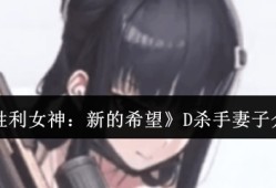 胜利女神新的希望D杀手妻子强度解析 狙击流最强辅助实战指南