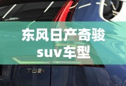 东风日产奇骏suv车型