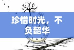 珍惜时光，不负韶华的智慧之道