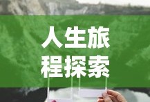 多多自走棋盒子助手