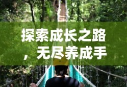 探索成长之路，无尽养成手游的无界探险之旅