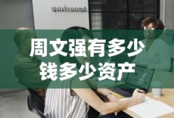 周文强有多少钱多少资产