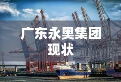 广东永奥集团现状