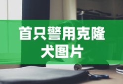喜欢你日本免费观看完整版