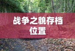 战争之貌存档位置
