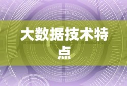 大数据的技术特点及其应用前景展望