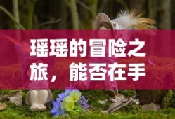 单机三国志2攻略秘籍
