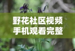 野花社区视频手机观看完整版