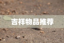 饼干果实能力者