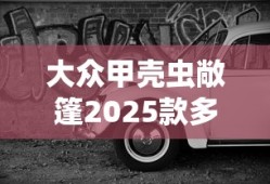 大众甲壳虫敞篷2025款多少钱