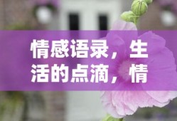 情感点滴，生活的痕迹与情感的印记