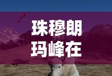 珠穆朗玛峰在哪个国家境内