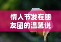 口袋新世代官网下载