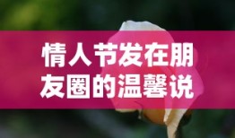 口袋新世代官网下载