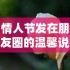 口袋新世代官网下载
