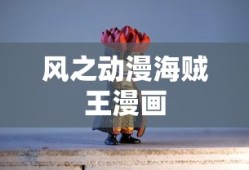 风之动漫海贼王漫画
