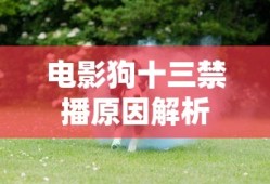 电影狗十三禁播原因解析