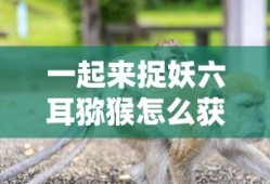 一起来捉妖六耳猕猴怎么获得