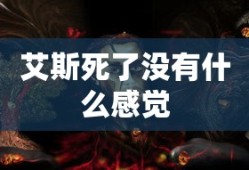 艾斯死了没有什么感觉