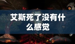 艾斯死了没有什么感觉